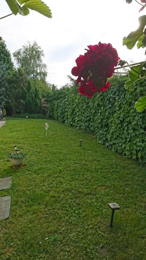BalatonfůzfőLiliana Vendeghaz公寓 外观 照片