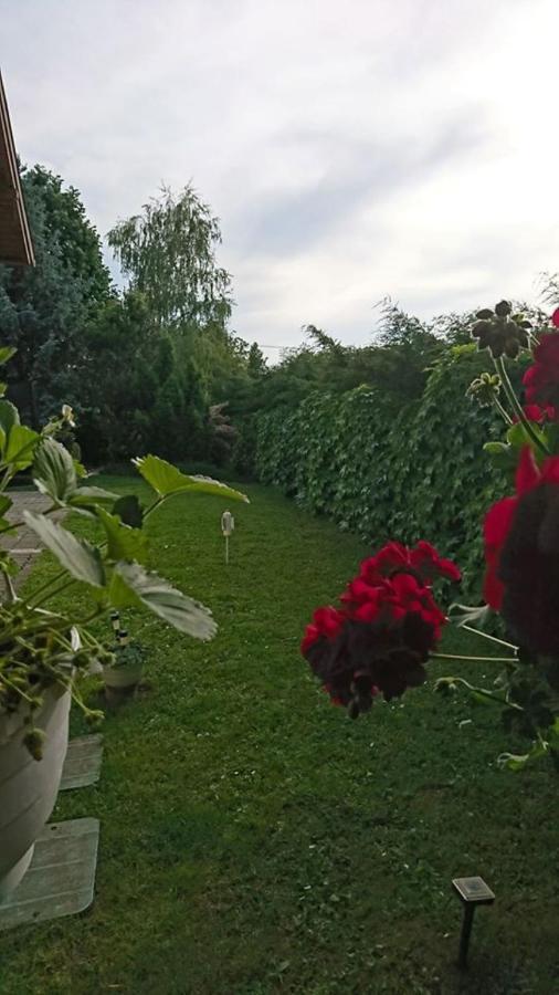 BalatonfůzfőLiliana Vendeghaz公寓 外观 照片